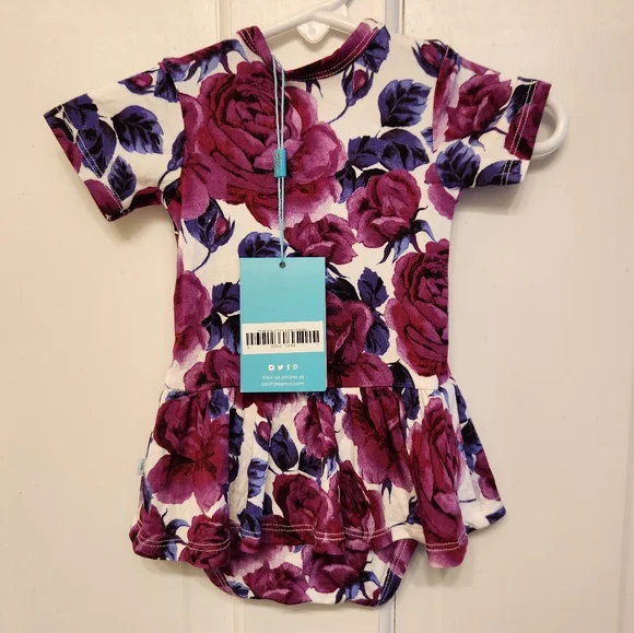 Set of 5 0-3 month Posh Peanut short sleeved bodysuit twirls